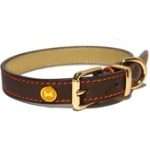 halsband huisdier vakantie hond