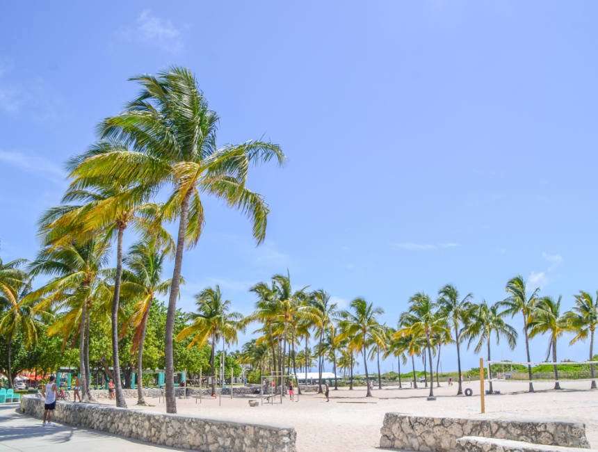 bezienswaardigheden miami beach palmbomen