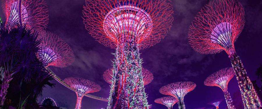 De Gardens by the bay. Gigantische metalen bomen die ook de echte natuur een handje helpen!
