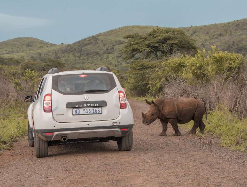 auto huren zuid Afrika park verzekering