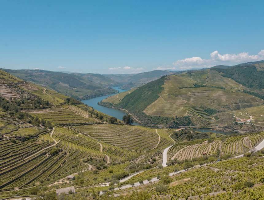 daguitstap douro vallei tour