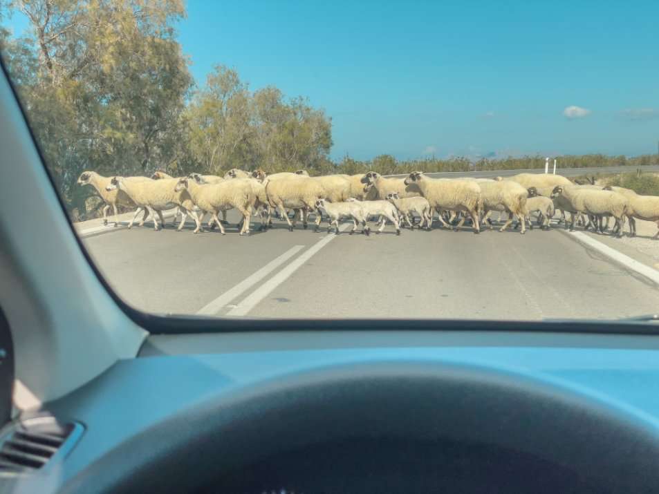 Auto huren kos ervaringen