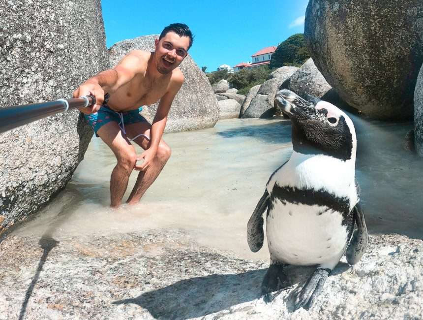 Boulders Beach pinguins Checkoutsam