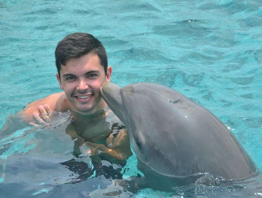 dolfijnen zwemmen ethisch seaquarium curacao