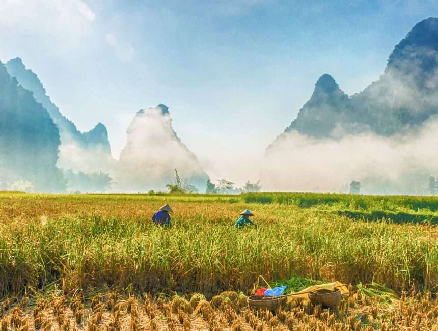 individuele rondreis Vietnam