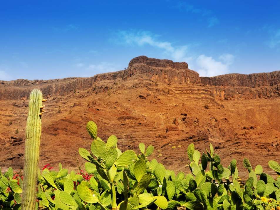 mooiste natuur Gran Canaria Mogan