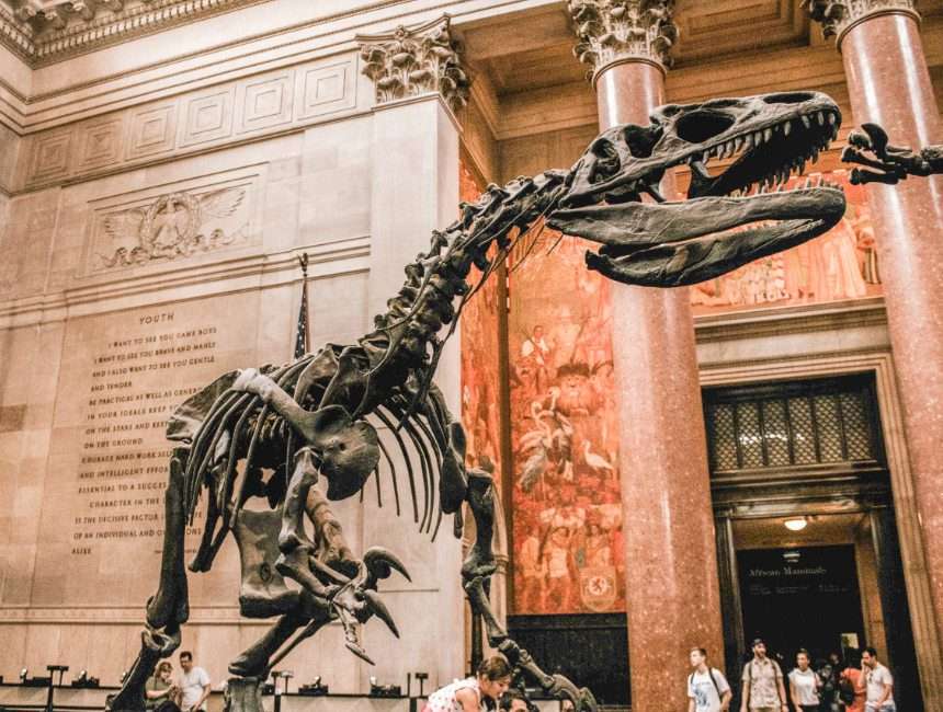 New York bezienswaardigheden American Museum of Natural History