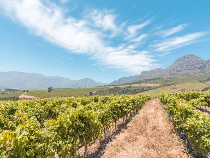 rondreis Zuid-Afrika Stellenbosch