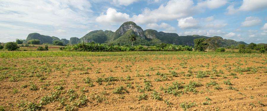 De Viñales valei in Cuba heeft prachtige landschappen en perfect voor te ontsnappen aan het drukke Havana.