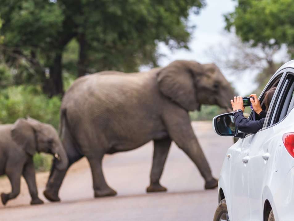 welke huurauto johannesburg