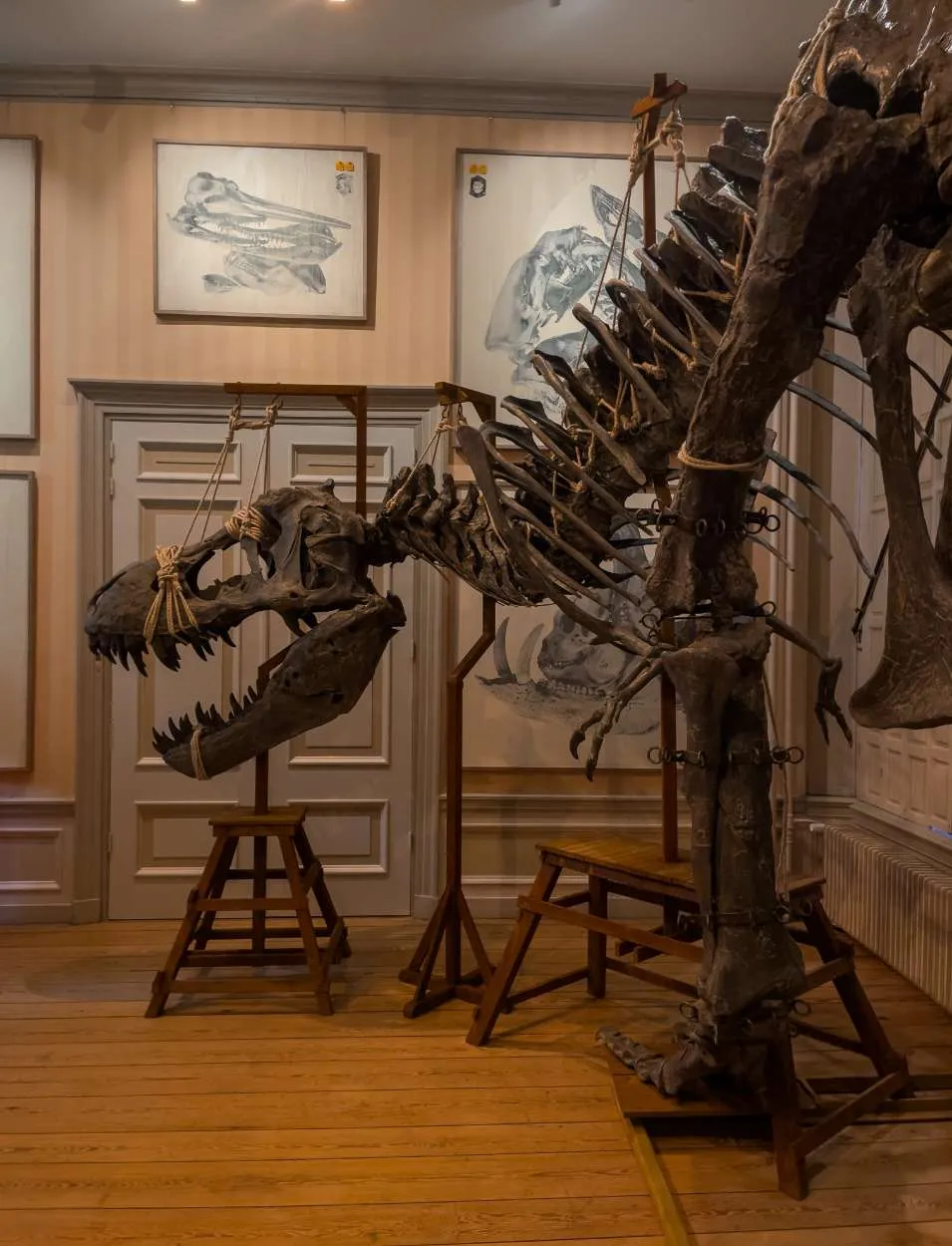 Art Zoo Museum Amsterdam