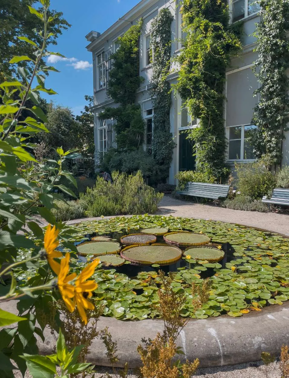 Hortus Botanicus Amsterdam